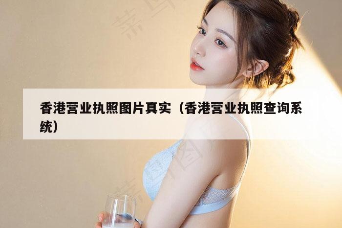 香港营业执照图片真实(香港营业执照查询系统)